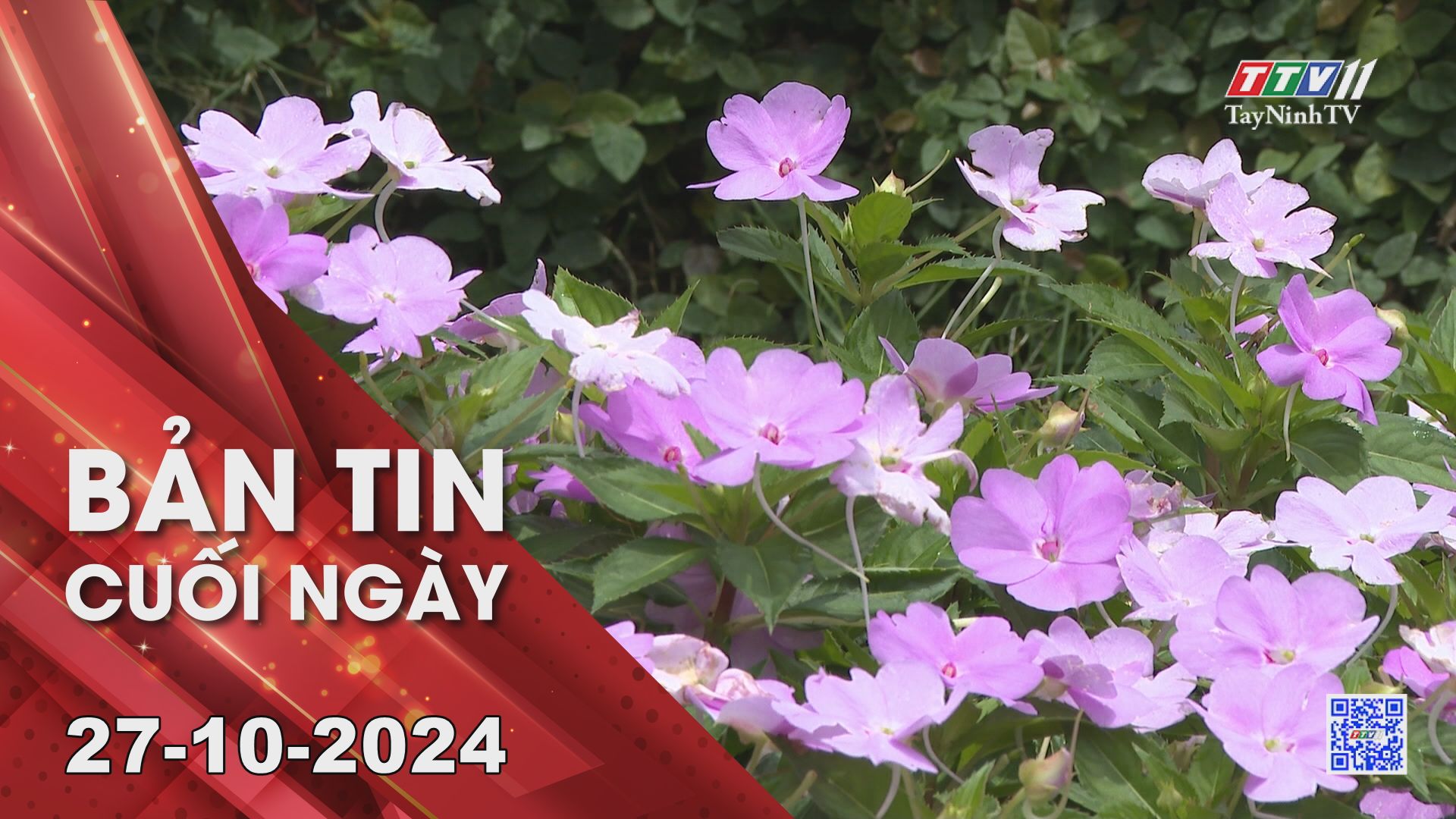 Bản tin cuối ngày 27-10-2024 | Tin tức hôm nay | TayNinhTV